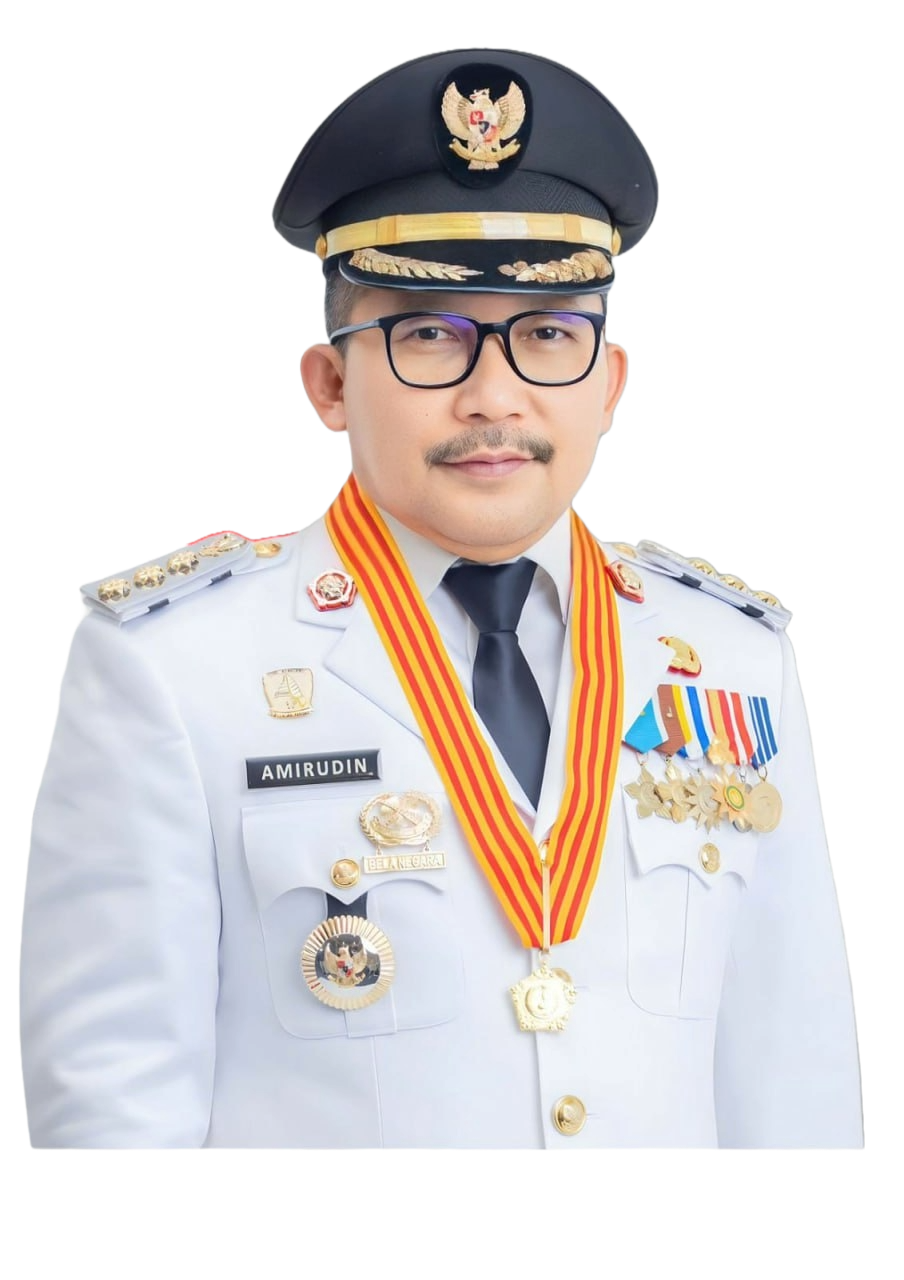 Ir. H. Amirudin, M.M